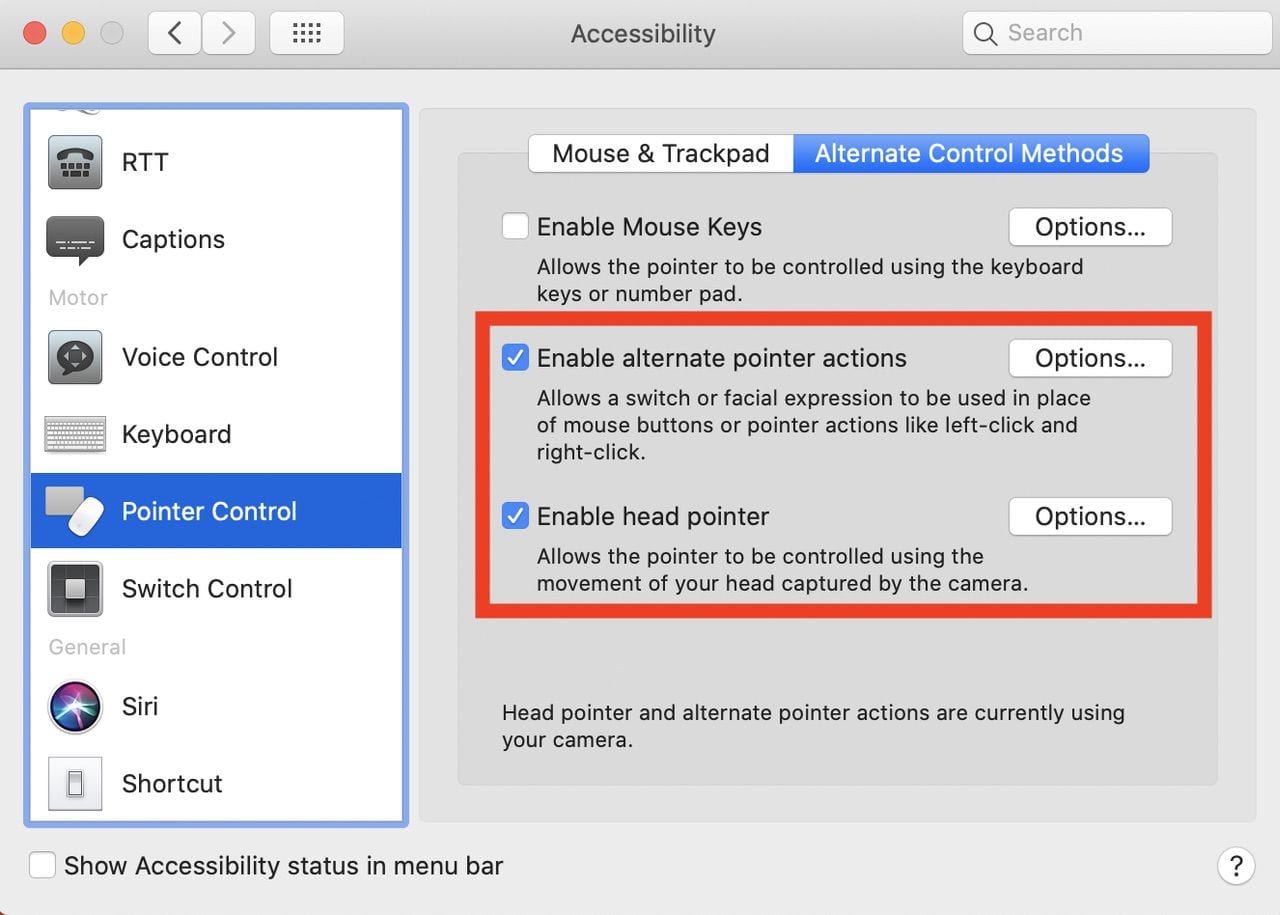 Click these two checkboxes to enable the head pointer capability and enable alternate pointer actions.