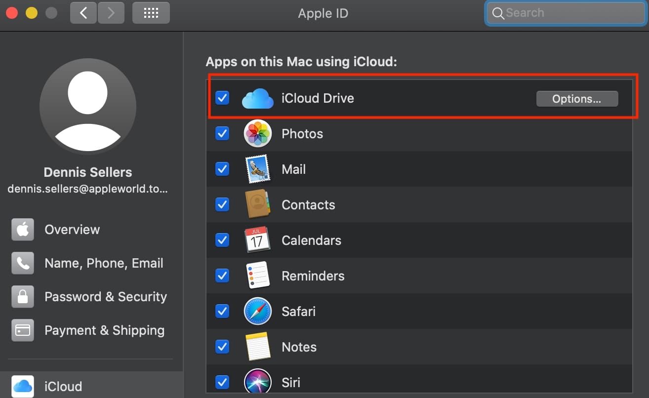 How to Upload File to iCloud Drive from PC? (2024)