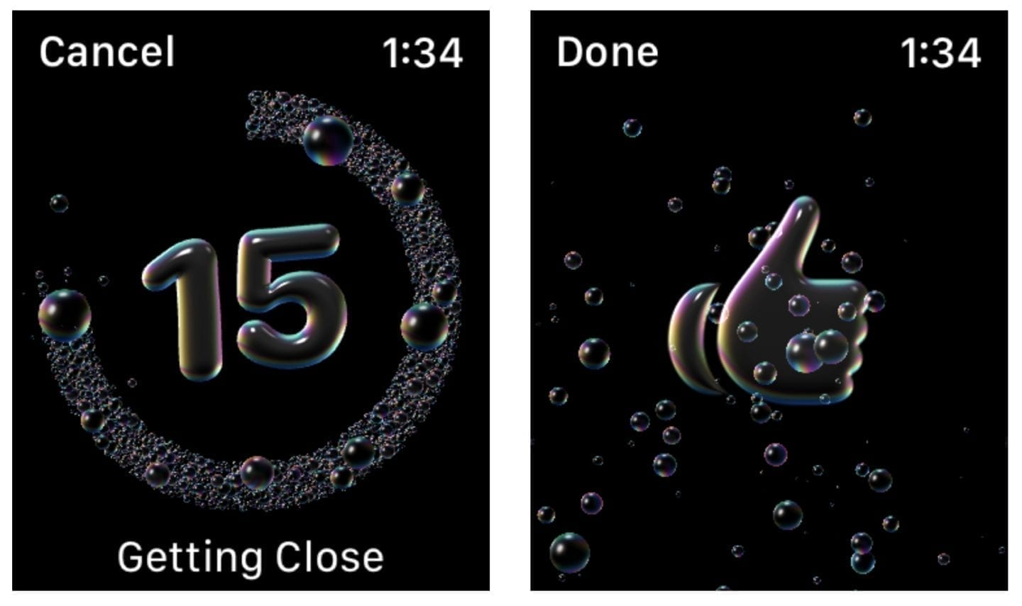 Apple watch handwashing online timer