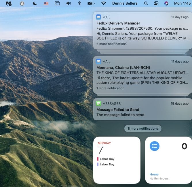 View of item in macOS Big Sur notification center