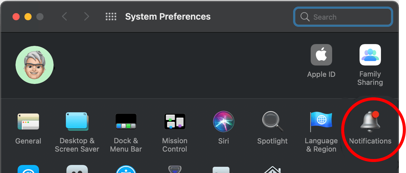 Big Sur system preferences with Notifications highlighted