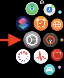 Settings button on Apple Watch