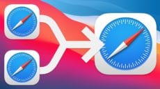 Two safari icons with merge arrow into one
