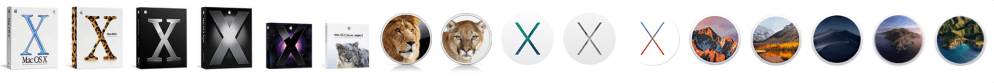 Logos of all versions of Mac OS X and macOS 11