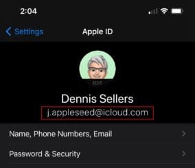 Example iPhone AppleId settings screen