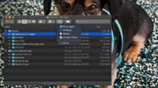 macOS Finder window showing share menu - dog wallpaper