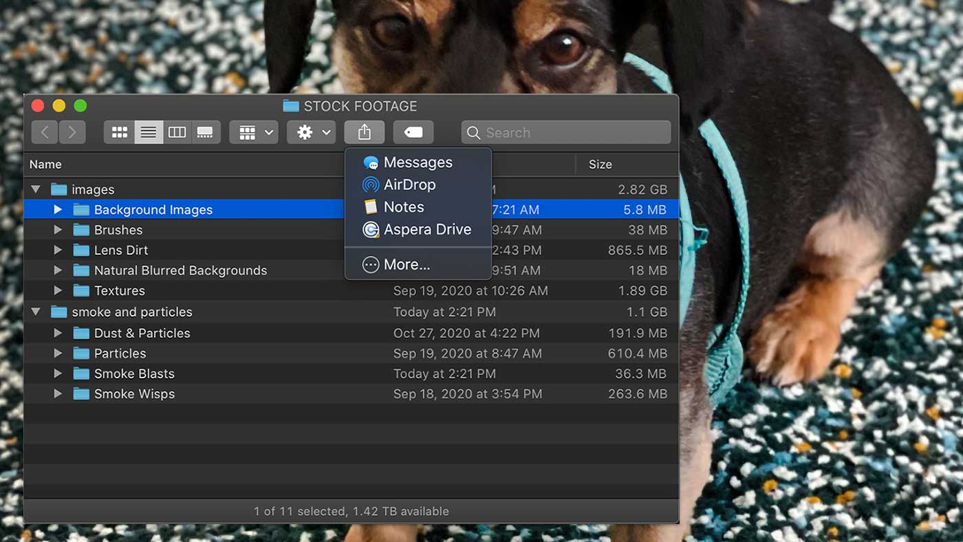 macOS Finder window showing share menu - dog wallpaper