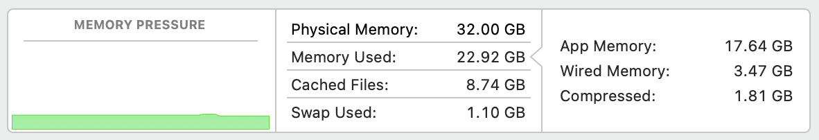 Memory is not an issue with this 32GB MacBook Pro