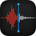 macOS Mac Big Sur 11 Voice Memos icon