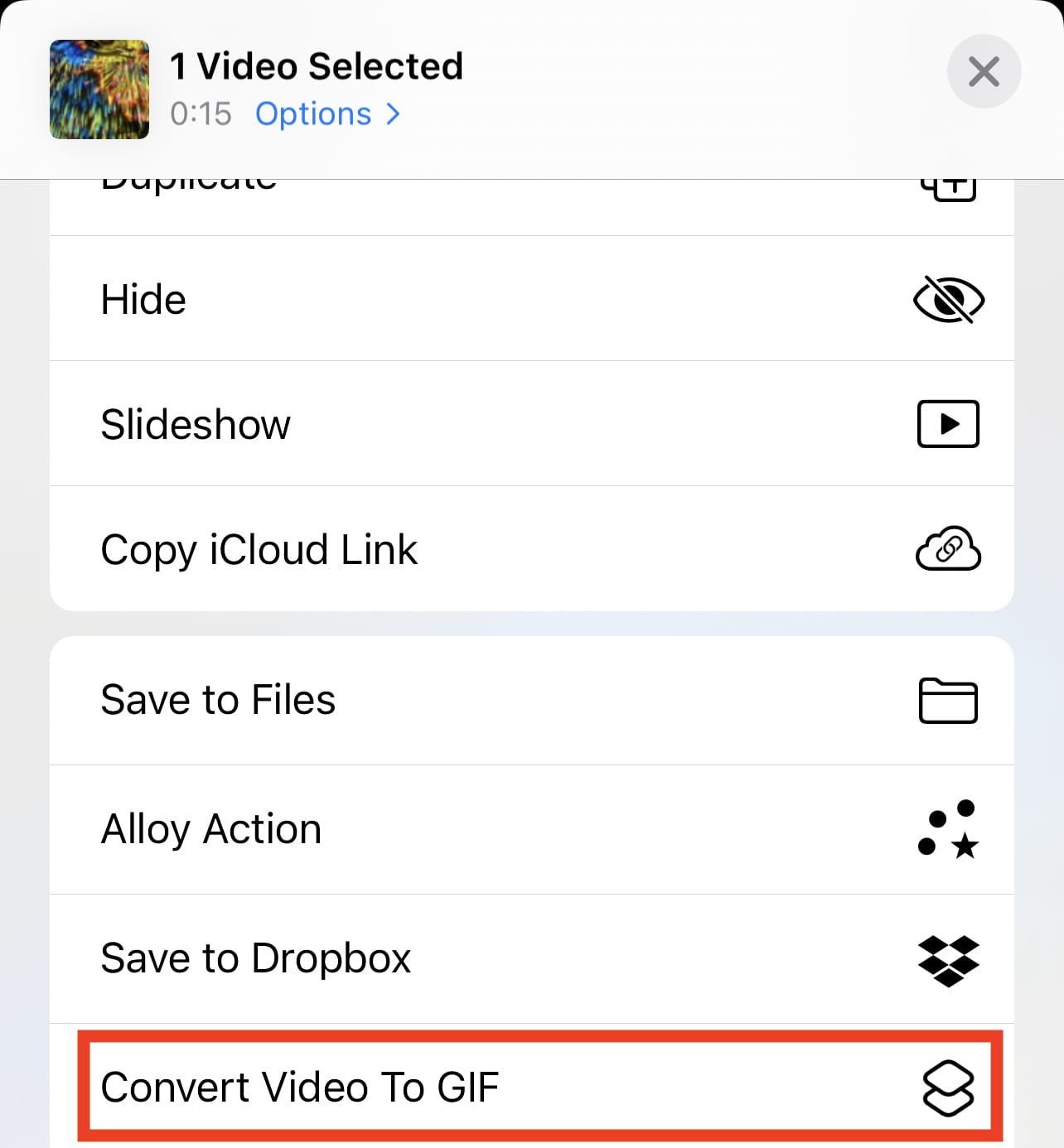 Tap Convert Video to GIF to complete the conversion