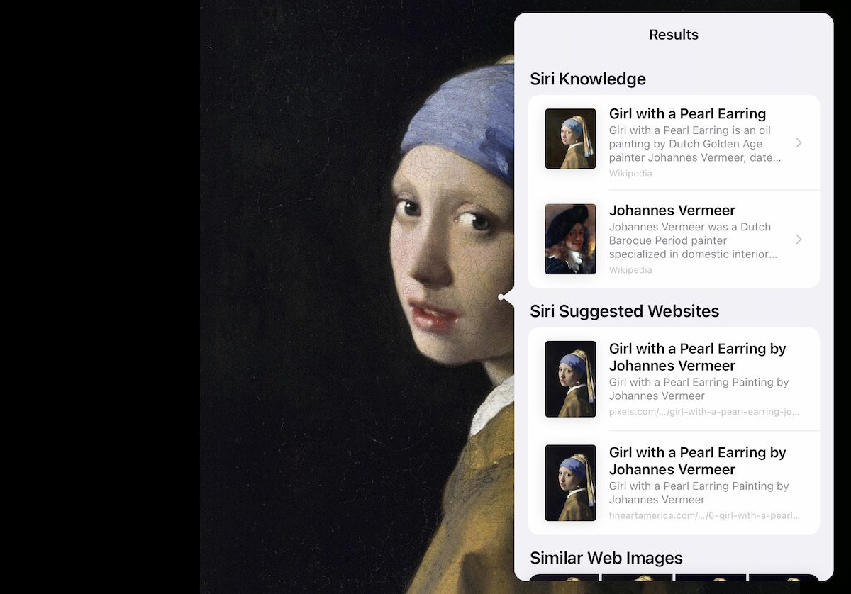 An example of Visual Look Up at Work on a Vermeer Painting