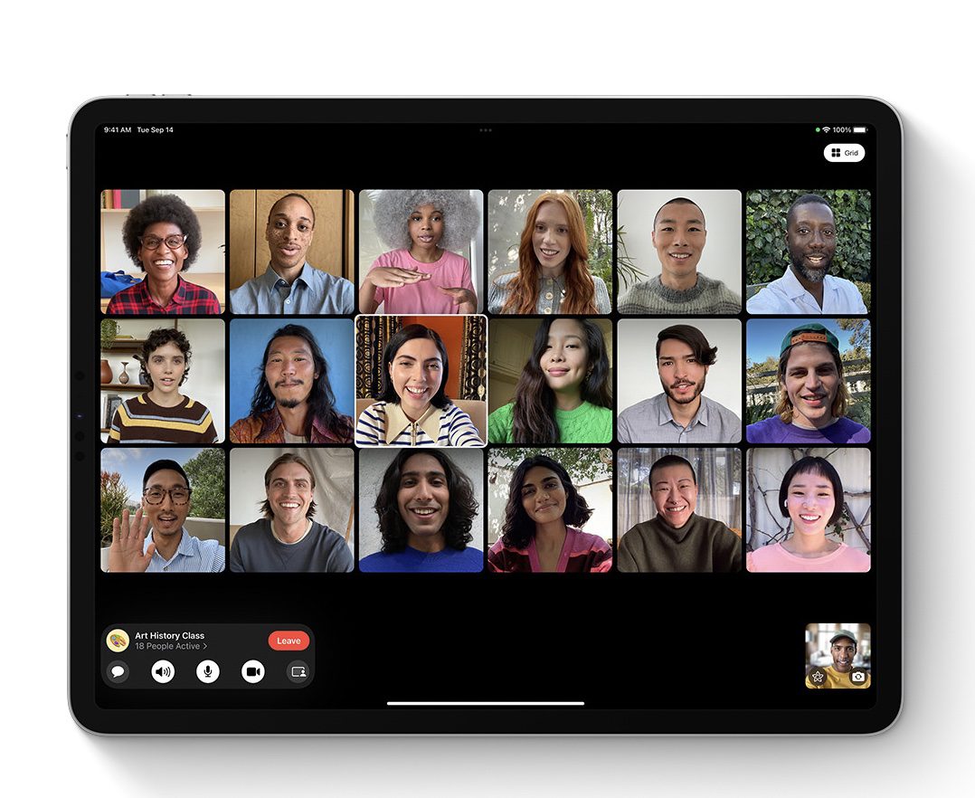 FaceTime Grid View