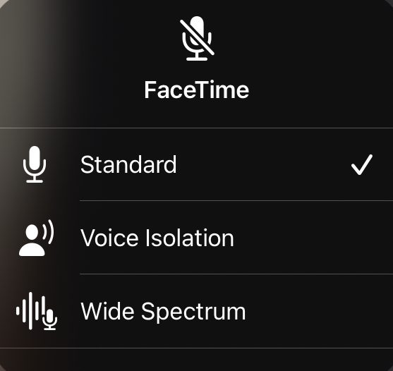 Mic Modes in iPadOS 15 FaceTime