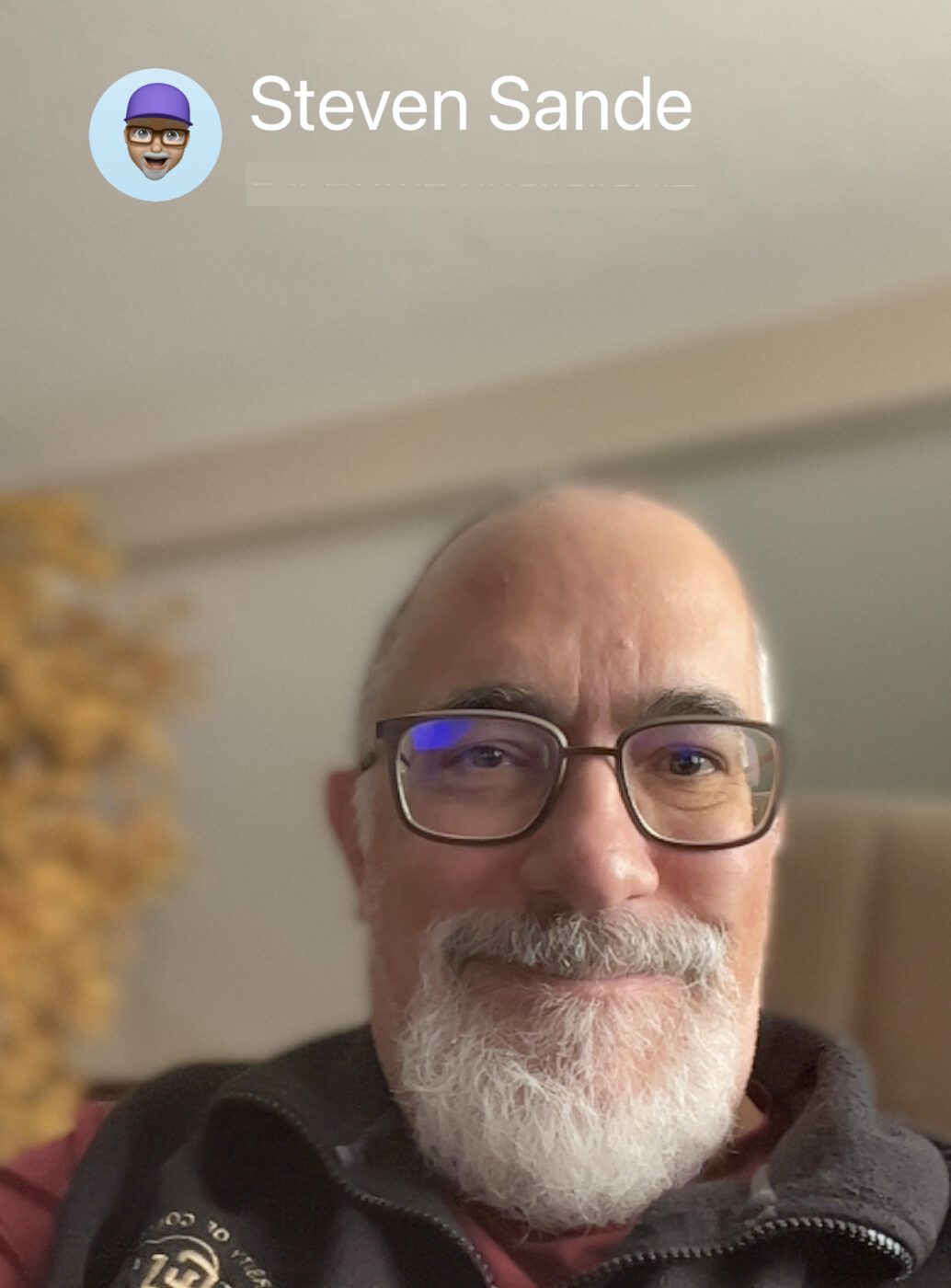 iOS 15 FaceTime Portrait Mode
