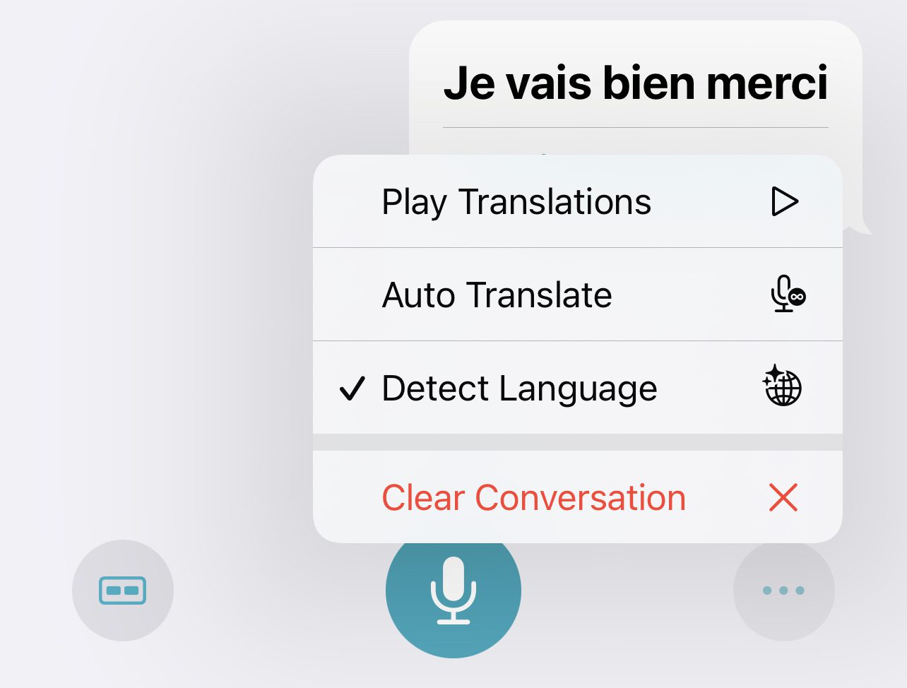 iOS 15 Translate Auto Translate