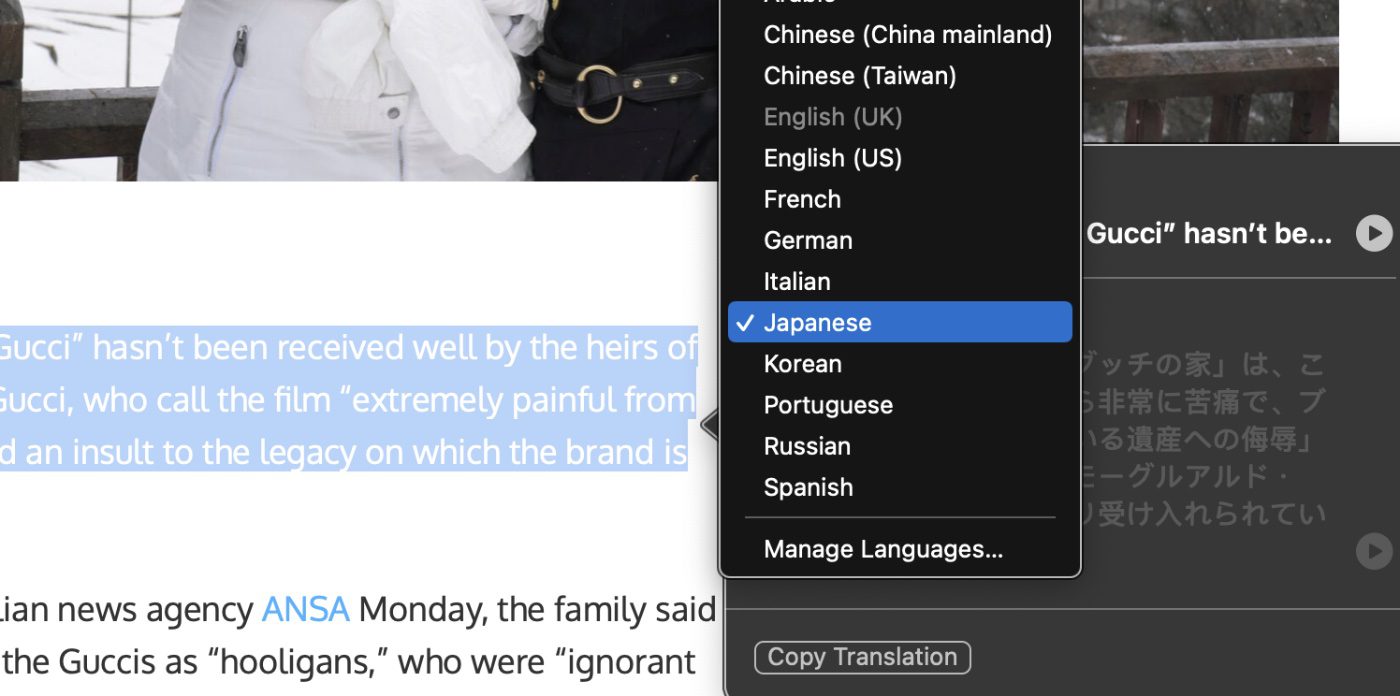 Choose the translation language.