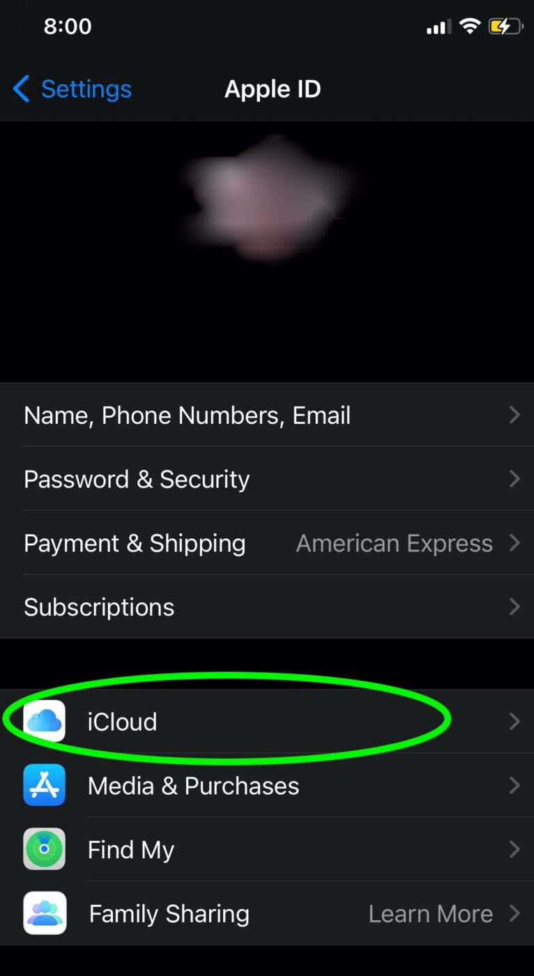 Backup data on your iPhone through iCloud 