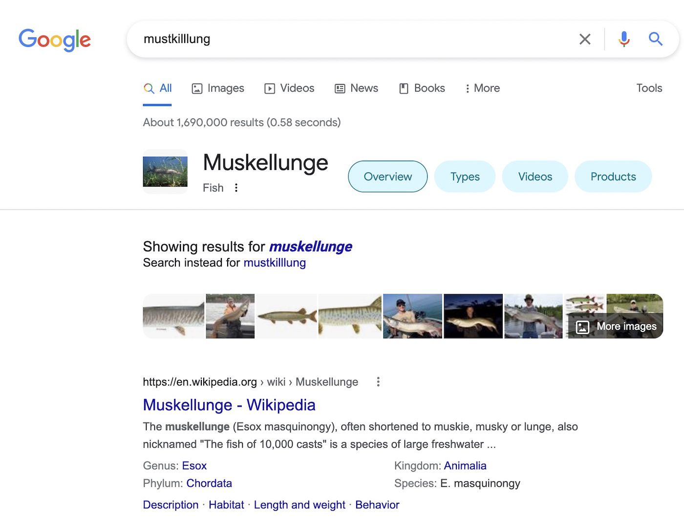 Google search misspellings