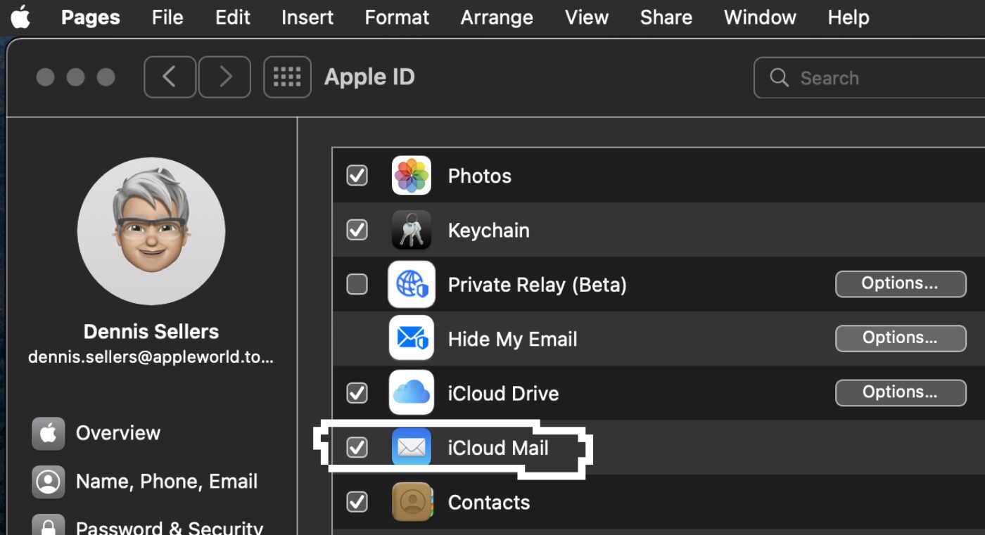 Choose iCloud Mail