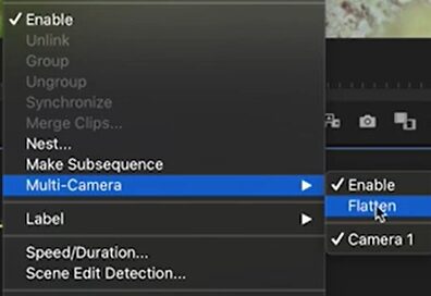 Flattening the Multicam clips