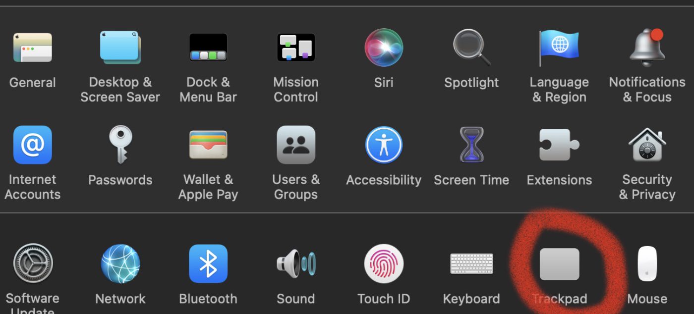 Trackpad preferences