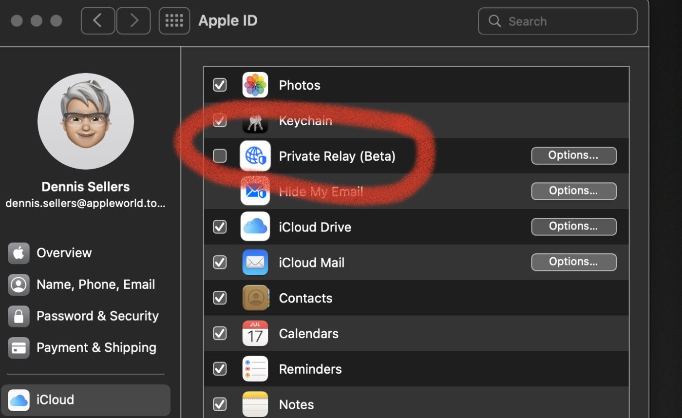 How to Use iCloud Private Relay on a Mac to avoid  Trackers