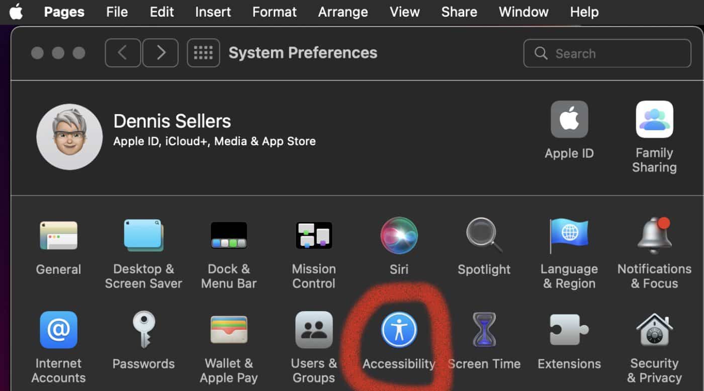 System Prefs > Accessibility