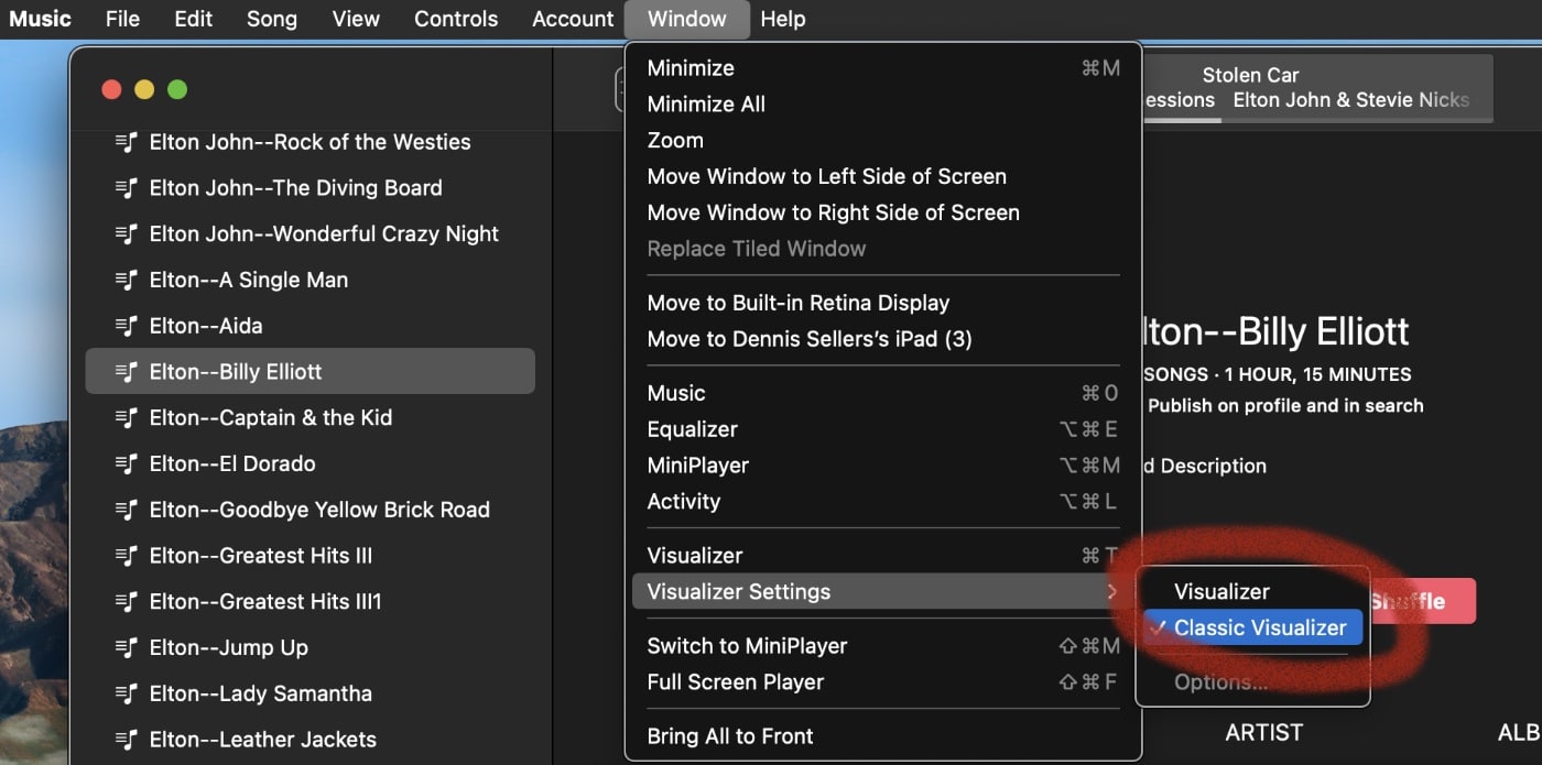 Visualizer Settings