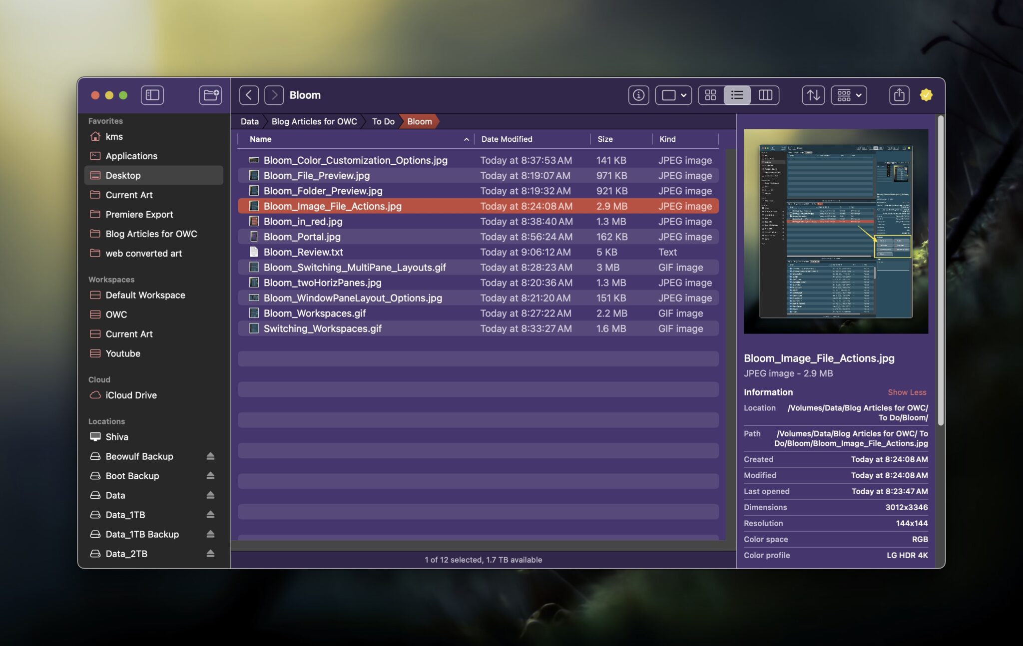 Bloom Blows Away the Finder with Innovative, Power User Features
