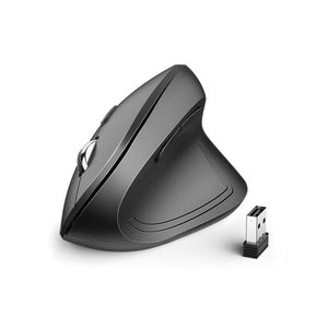 iClever WM-101 Ergonomic Wireless Vertical Mouse