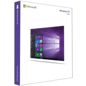 Microsoft Windows 10 Pro 64-bit OEM - Physical Disc (DVD)
