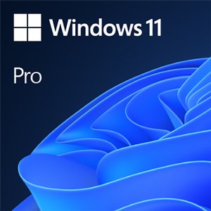 Microsoft Windows 11 Pro 64-bit OEM - Physical Disc (DVD)