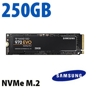 (*) 250GB Samsung 970 EVO NVMe M.2 Solid-state Drive