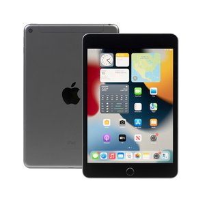 Apple iPad mini 5 256GB Wi-Fi + Cellular (Unlocked) - Space Gray