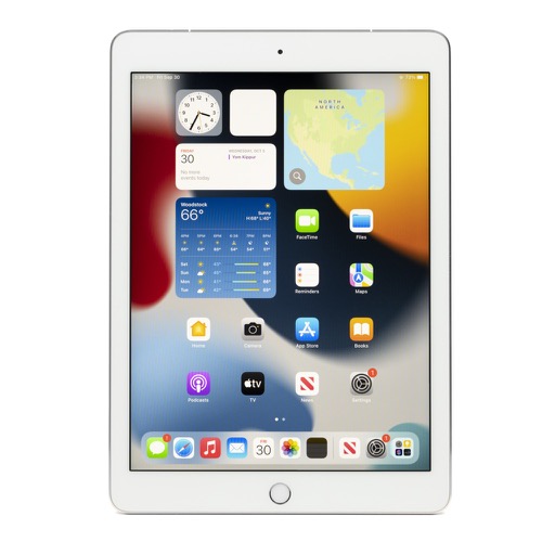 Apple 9.7-inch iPad Pro (1st Generation) 256GB USA/Global Wi-Fi + Cellular (Unlocked) - Silver