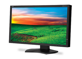 NEC 23 inch Professional Graphics Desktop Monitor