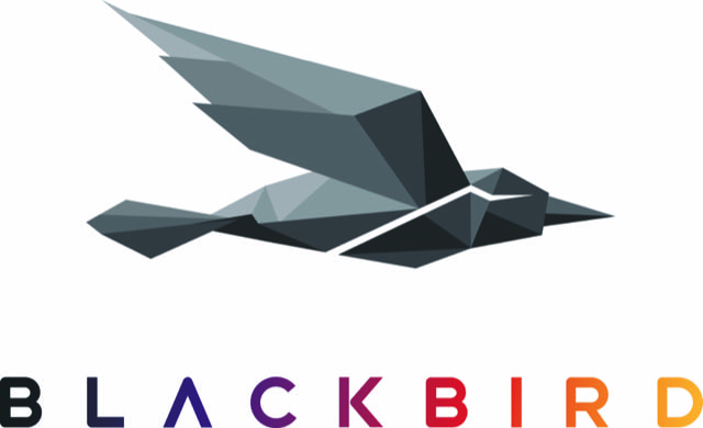 Blackbird is being tagged as the fastest video editor in the world because you can turn around a clip to wherever you need it to be in seconds.